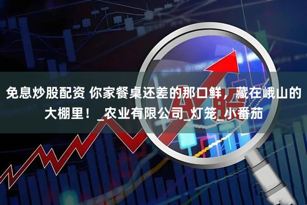 免息炒股配资 你家餐桌还差的那口鲜，藏在峨山的大棚里！_农业有限公司_灯笼_小番茄